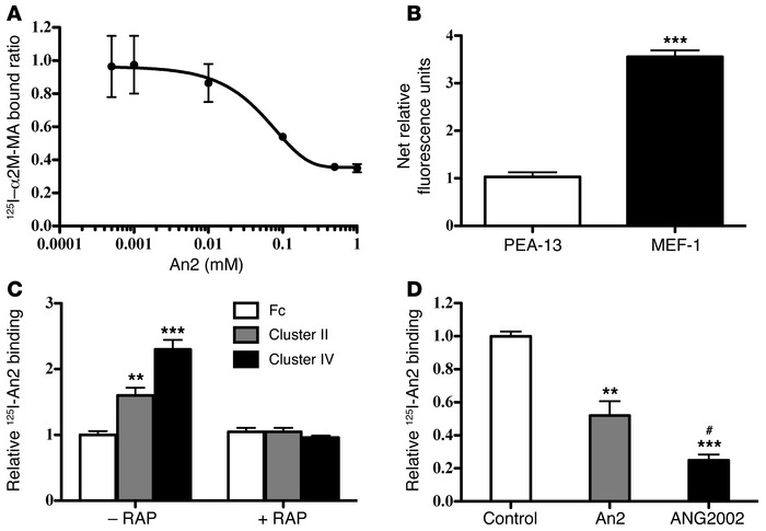 Molecular interaction of An2 and ANG2002 with LRP1.
(A) An2 inhibition o...