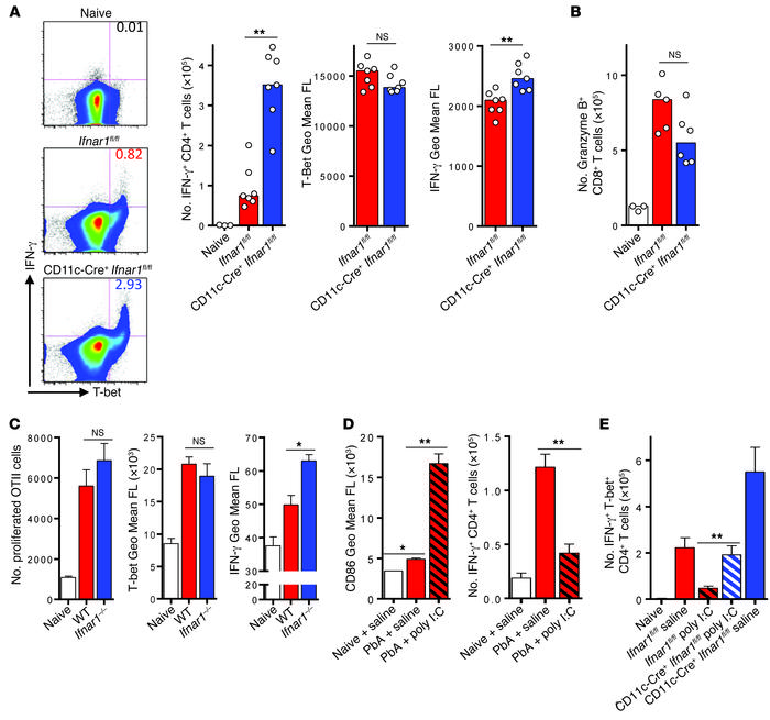 Type I IFN signaling in cDCs impairs Th1 priming in vivo.
(A) FACS analy...