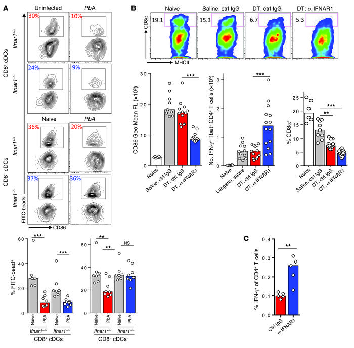 Type I IFN signaling suppresses in vivo Th1 responses independently of C...