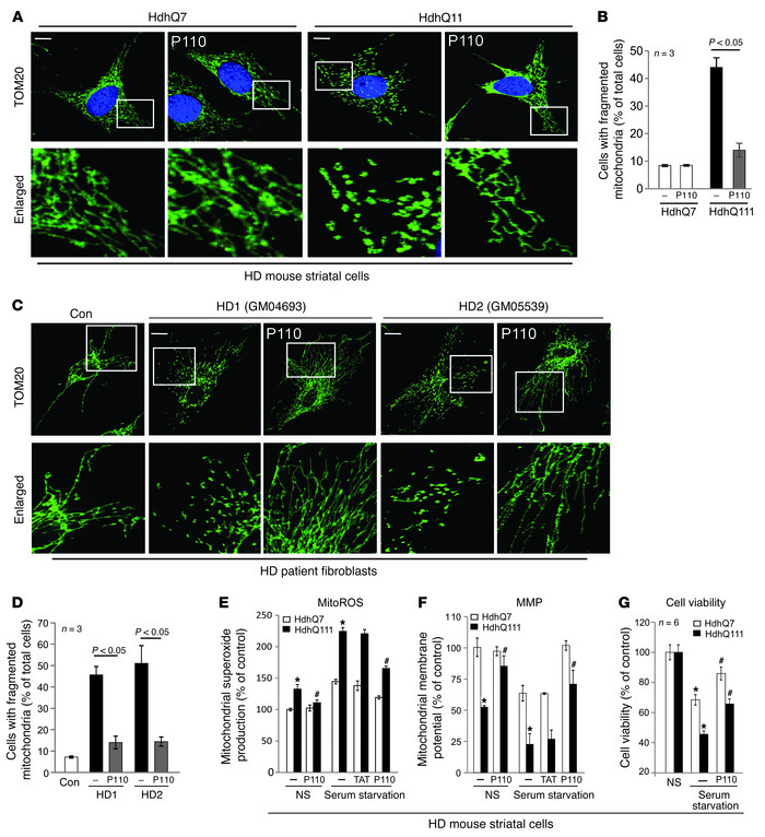 P110-TAT treatment reduced mitochondrial fragmentation and corrected mit...