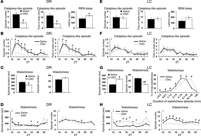 Pharmacogenetic activation of DR serotonergic and LC noradrenergic neuro...