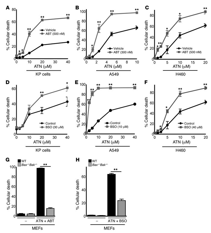 ATN-224 synergizes with proapoptotic and pro-oxidant drugs to induce aug...