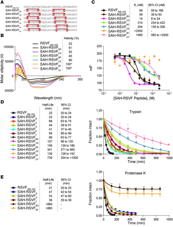 Design, α-helicity, 5-HB binding activity, and protease resistance of i,...