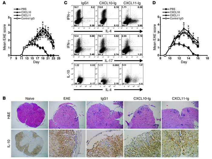 CXCL11-Ig suppresses ongoing EAE while selecting IL-10hi Tregs that tran...