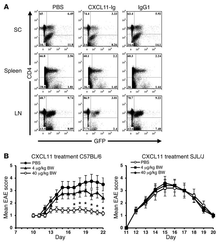 Effects of CXCL11 therapy on CD4+ T cell recruitment and EAE suppression...