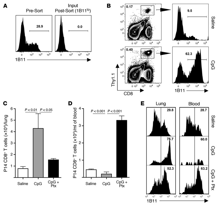 Inflammation is sufficient to generate core 2 O-glycans on circulating m...