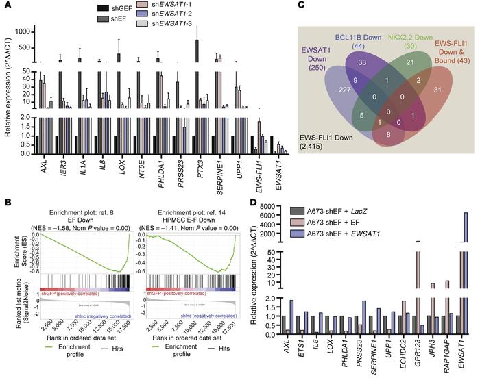 EWSAT1 mediates a mechanism of gene repression downstream of EWS-FLI1.
(...