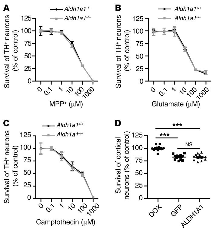 ALDH1A1 selectively protects midbrain DA neurons against α-synuclein–med...