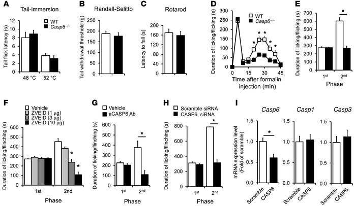 Formalin-induced second-phase inflammatory pain is reduced after deletio...