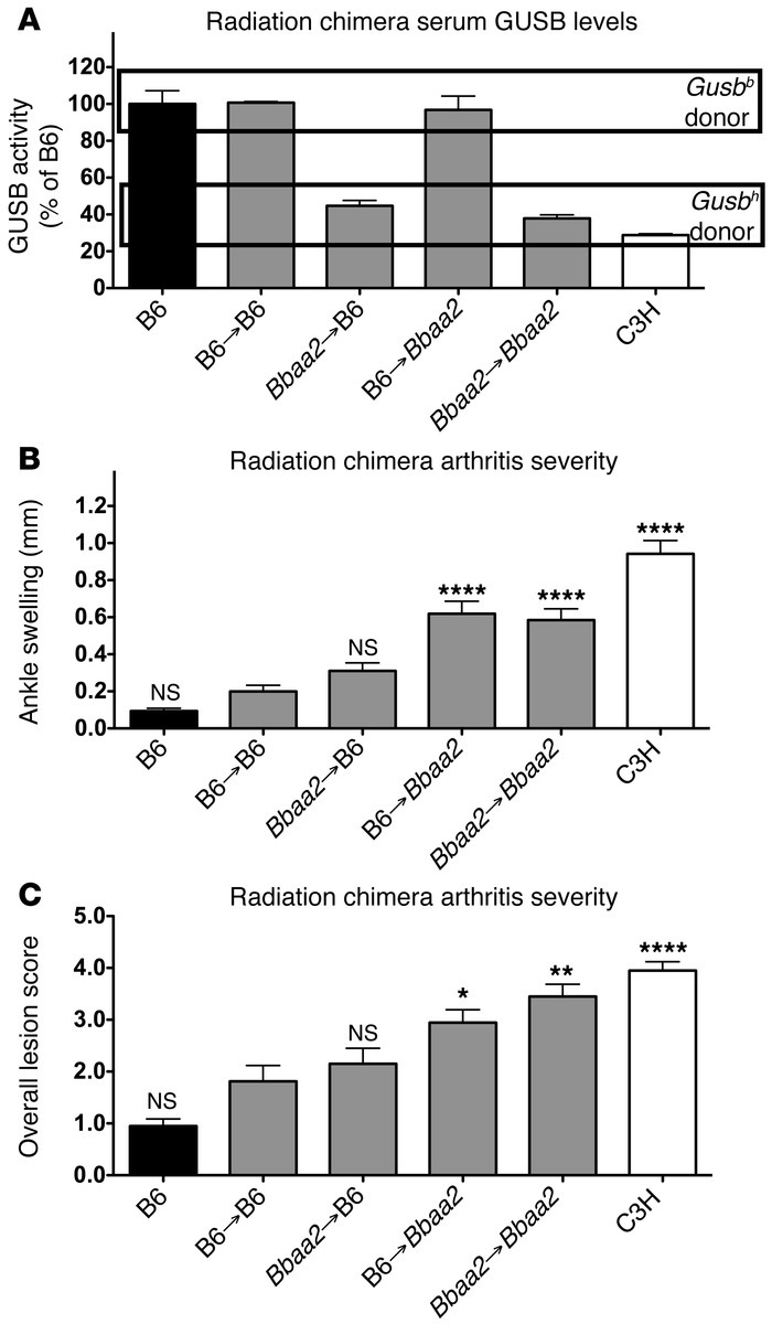 GUSB hypomorphism influences arthritis severity through a cell-intrinsic...