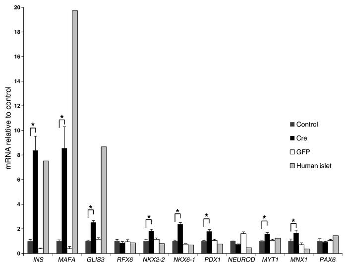 Expression of β cell transcription factors before and after excision.
RT...