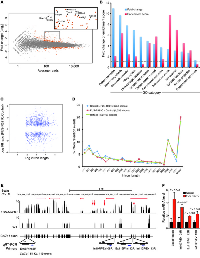 RNA-seq analyses reveal transcription and splicing defects in FUS-R521C ...