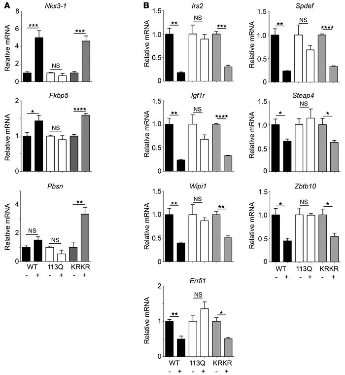 Expression of androgen-responsive genes in prostate and skeletal muscle....