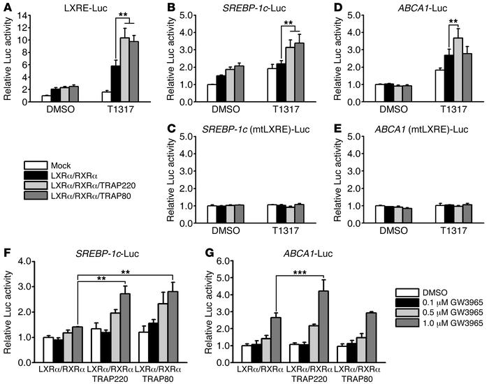 TRAP80 selectively stimulates SREBP-1c promoter activity in a ligand-dep...
