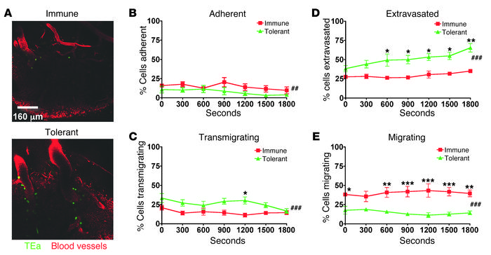 Distinct trafficking patterns of antigen-specific CD4+ T cells through L...