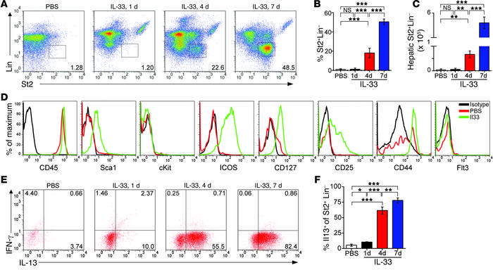 Hepatic ILC2s increase after IL-33 treatment.
Representative dot plots (...