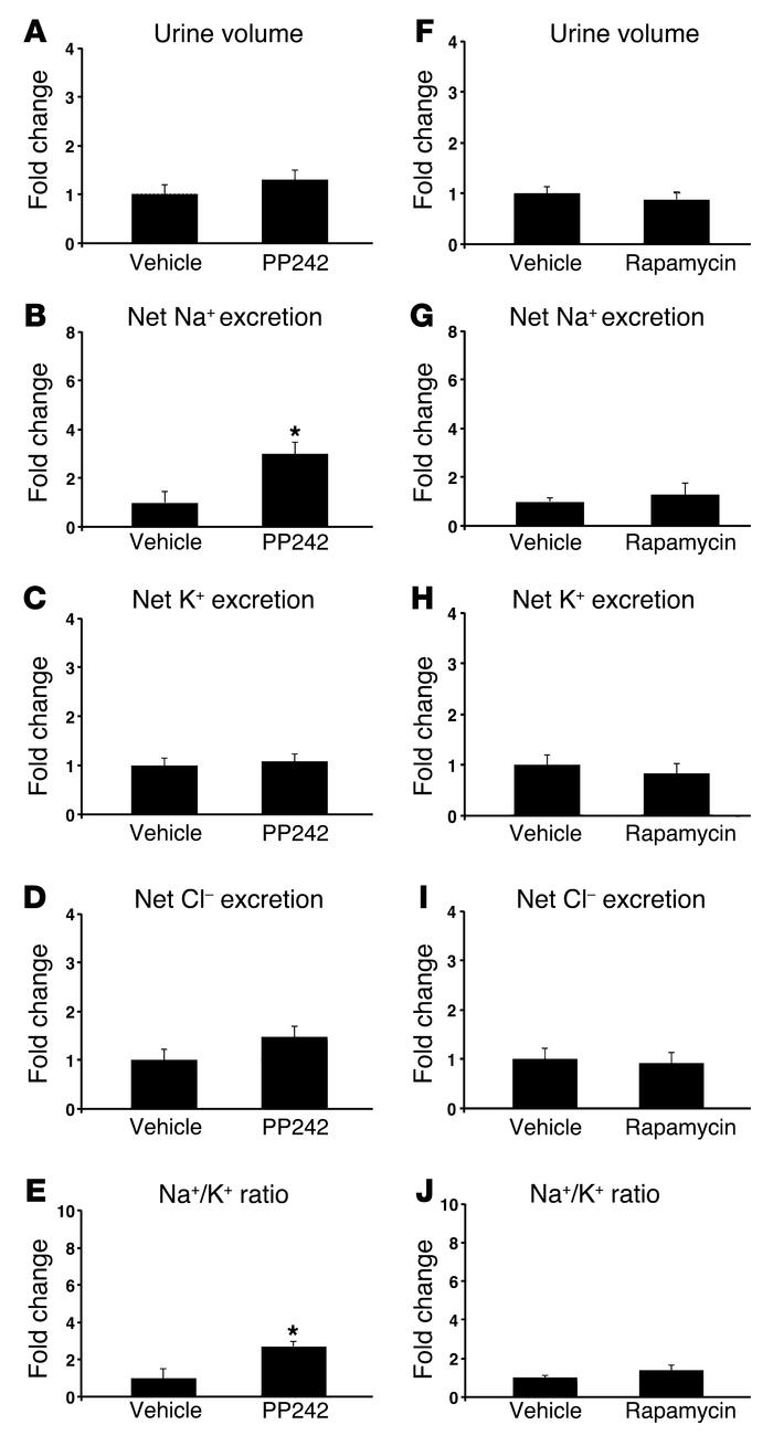 mTOR is required for Na+ retention in vivo.
WT mice were treated with (A...