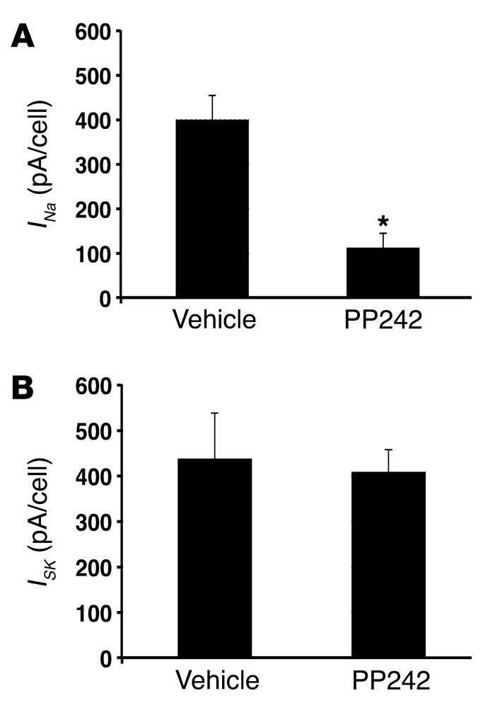 mTORC2 is required for ENaC-mediated Na+ current: direct measurement by ...