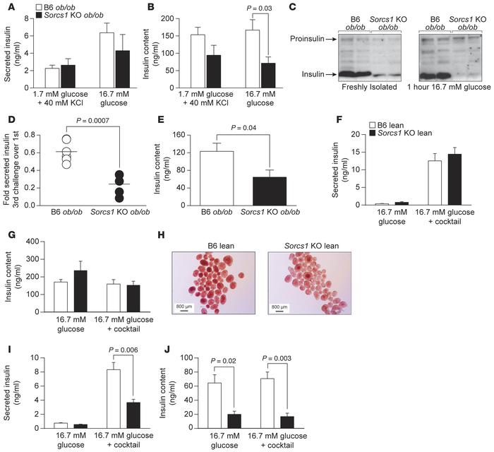 Sorcs1 deletion impairs insulin secretion under metabolic stress.
(A and...