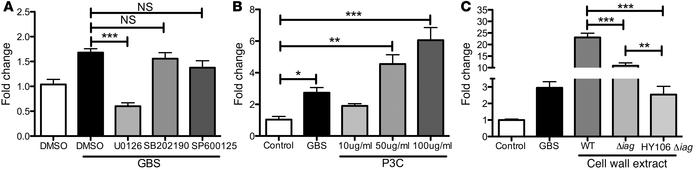 Contribution of MAPK signaling in SNAI1 expression.
hBMECs were treated ...