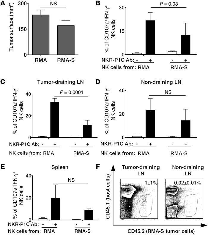 NK cell anergy is locally induced and requires close proximity with MHC ...