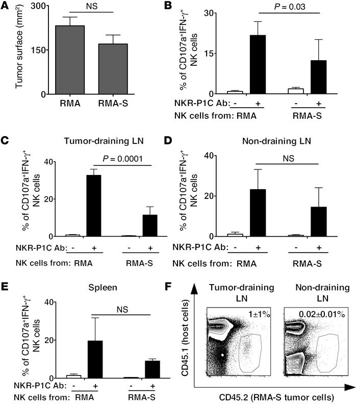 NK cell anergy is locally induced and requires close proximity with MHC ...