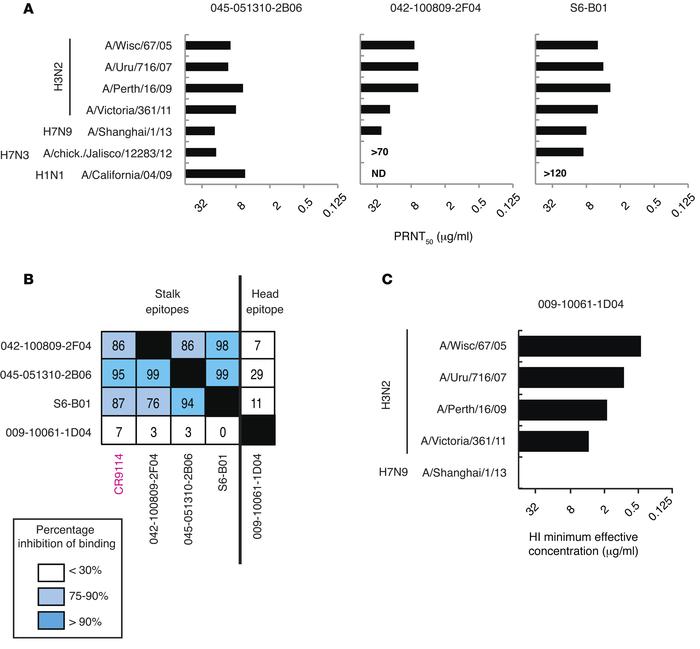 Functional analysis of the H7N9-neutralizing antibodies.
(A) In vitro ne...