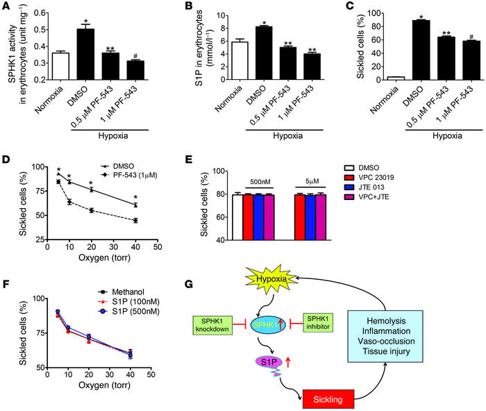 SPHK1-mediated elevation of S1P contributes directly to hypoxia-induced ...