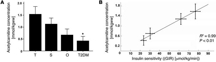 Skeletal muscle acetylcarnitine concentrations per group and the associa...