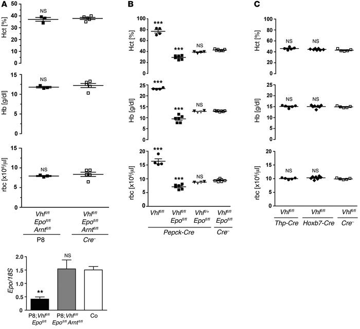 The renal proximal tubule regulates EPO production in an HIF-dependent m...