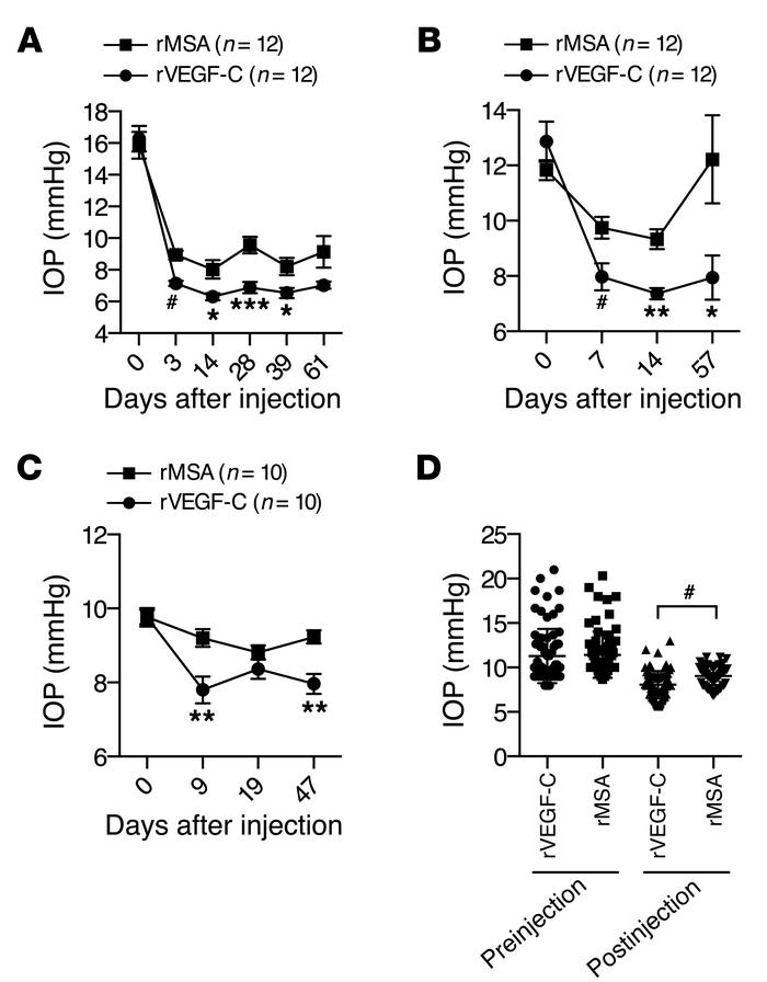 A single injection of recombinant VEGF-C is associated with a sustained ...