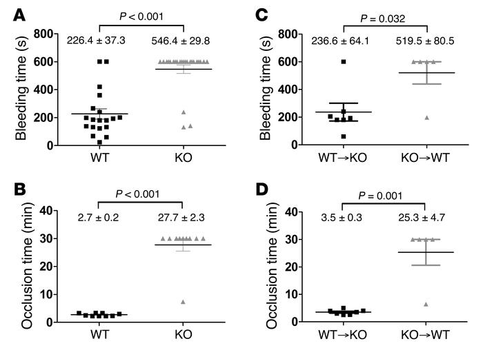 Hemostasis and thrombus formation are impaired in STXBP5-deficient mice....