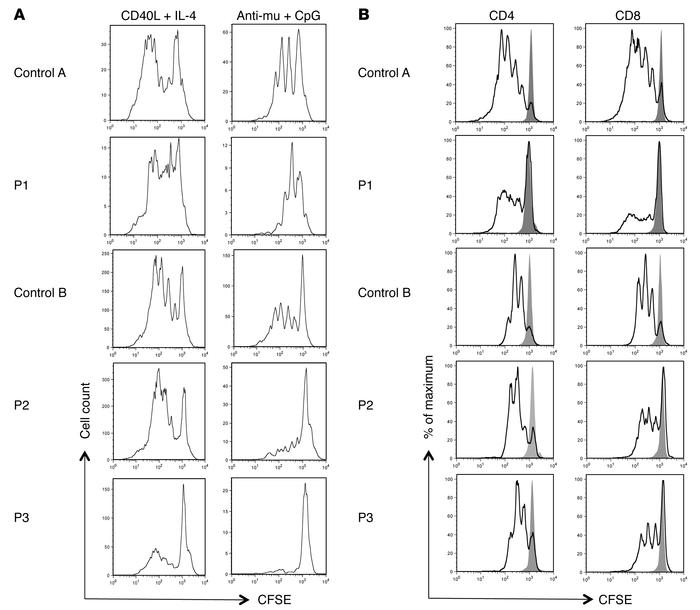 Proliferative ability of peripheral blood B and T lymphocytes.
Prolifera...
