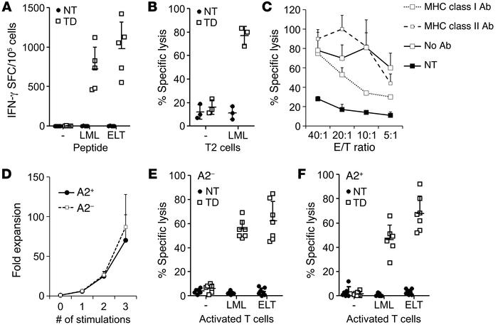 The ectopically expressed survivin-specific TCR is functional and specif...