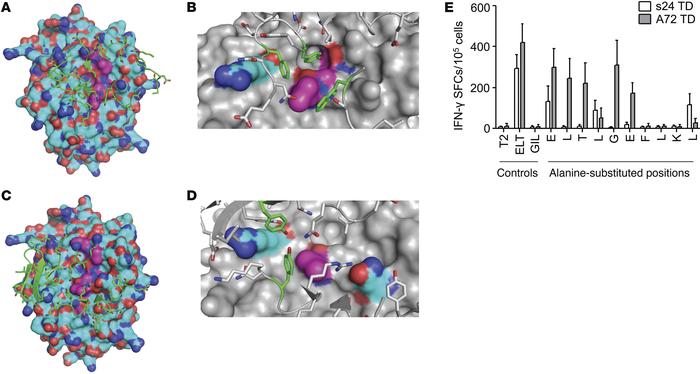 Different molecular recognition patterns of autologous versus allogeneic...