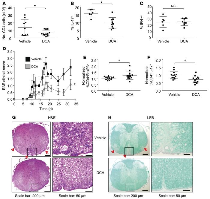 PDHK is selectively required for Th17, but not Treg, expansion and funct...