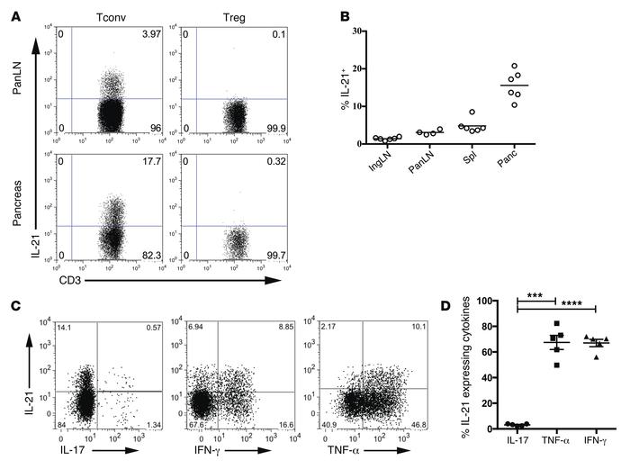 IL-21 production at sites of autoantigen expression in DO11 RIP-mOVA mic...
