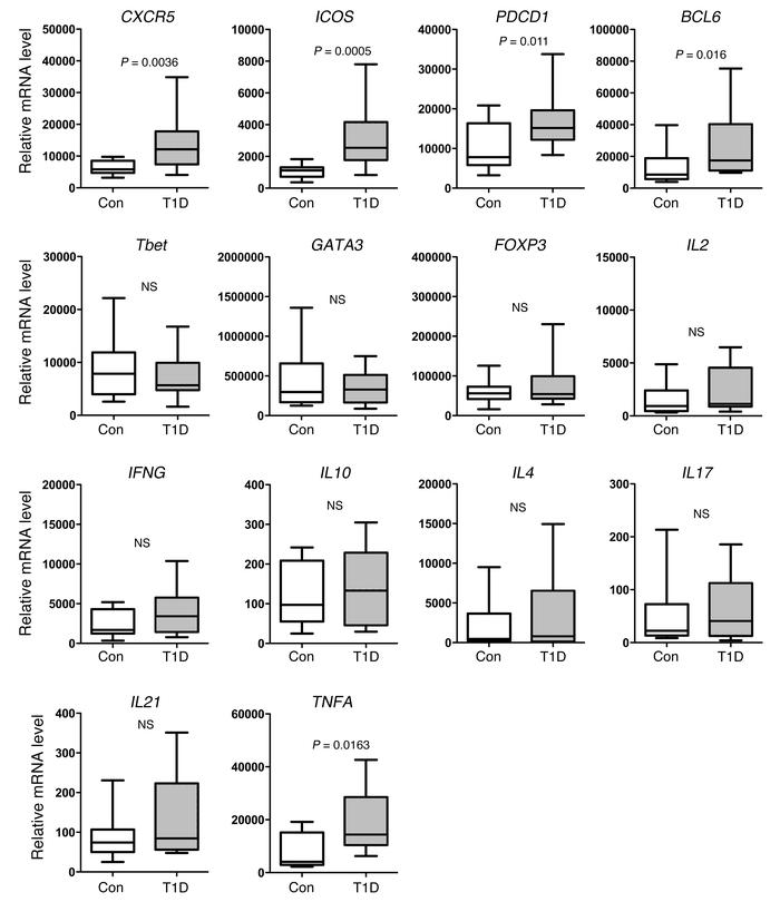 mRNA analysis of memory T cells from patients with T1D reveals a Tfh cel...