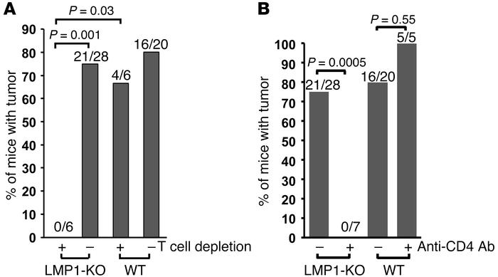 CD4+ T cells support the growth of LMP1-KO EBV–induced cord blood lympho...