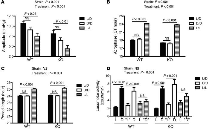 The change in blood pressure circadian rhythm with light is not altered ...