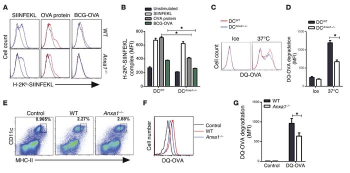 Reduced expression of MHC-I/peptide complex and antigen processing by An...