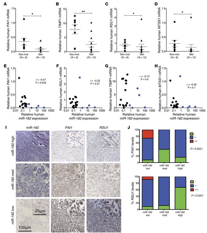 Decreased expression of miR-182 target genes in primary human metastatic...