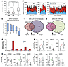 A GRHL3-regulated epidermal repair pathway in human psoriasis.