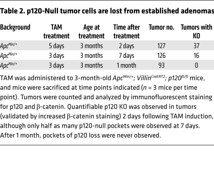 p120-Null tumor cells are lost from established adenomas