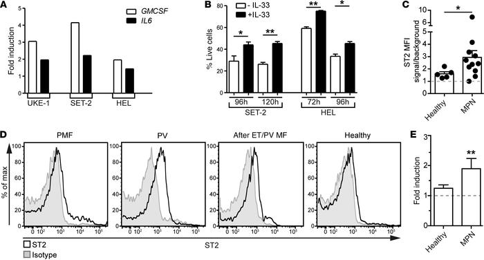 IL-33/ST2 signaling promotes MPN development.
(A) Indicated JAK2V617F+ c...