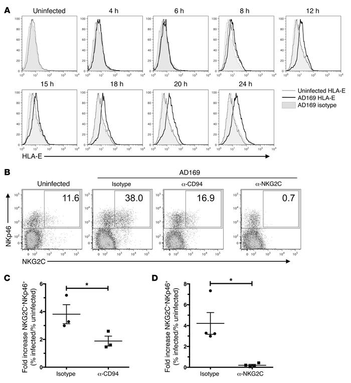 Blockade of CD94 or NKG2C reduces expansion of NKG2C+ NK cells in respon...