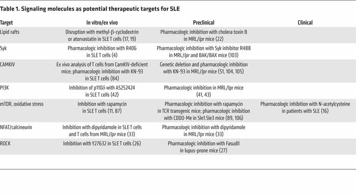 Signaling molecules as potential therapeutic targets for SLE