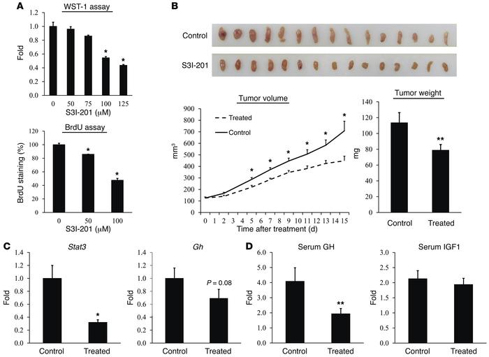 STAT3 inhibitor S3I-201 constrains somatotroph cell growth in vitro and ...