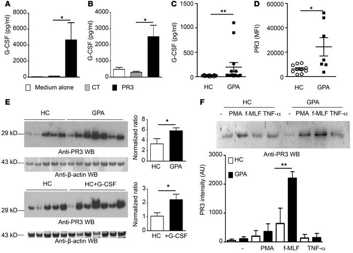 Increased G-CSF secretion by macrophages and T cells was associated with...