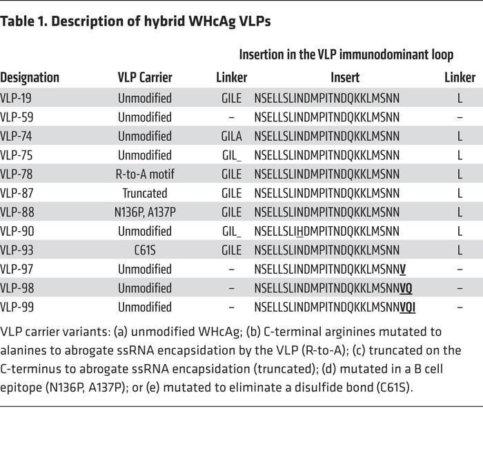 Description of hybrid WHcAg VLPs